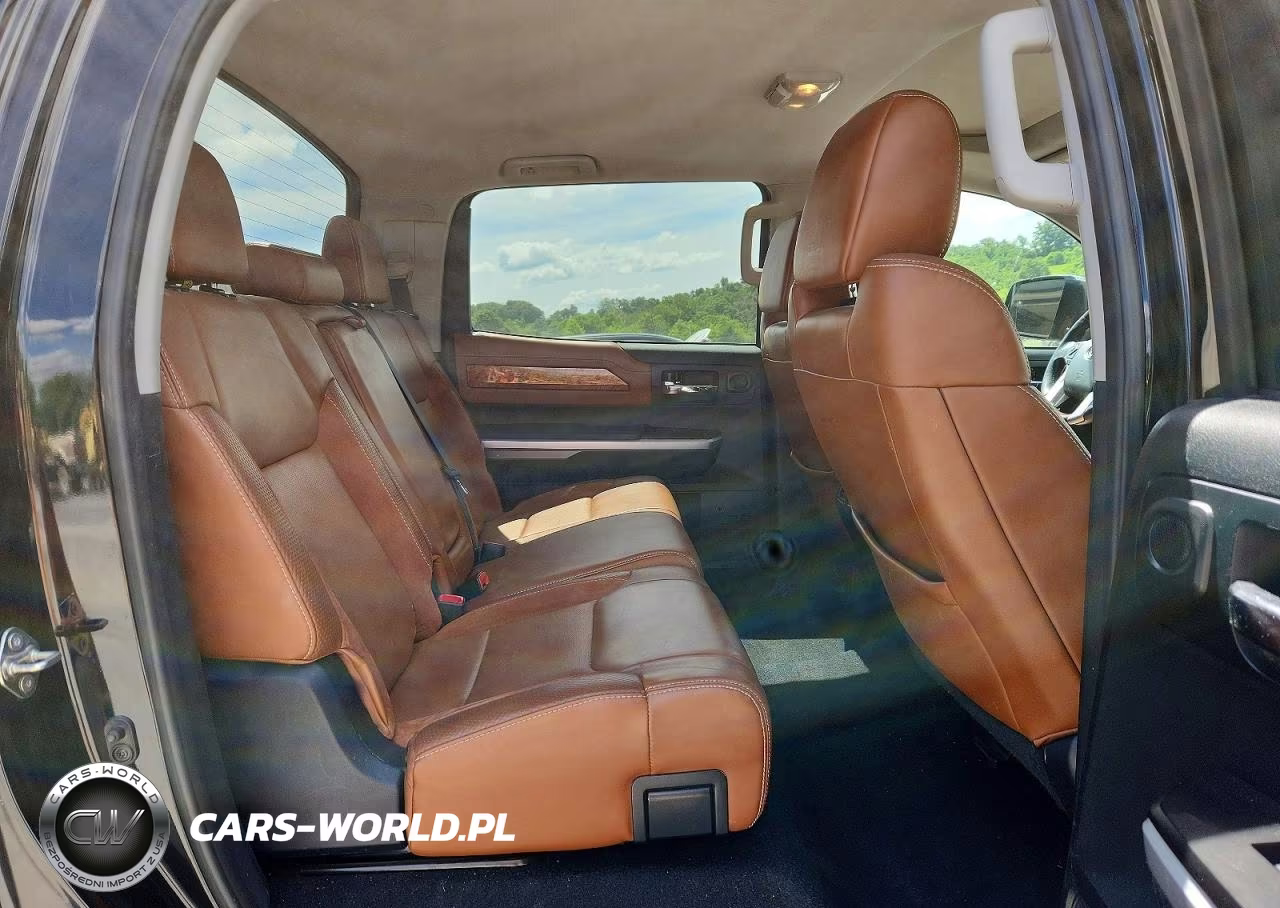 2017 Toyota Tundra 1794 Edition VIN:5TFAY5F19HX603431 - 10
