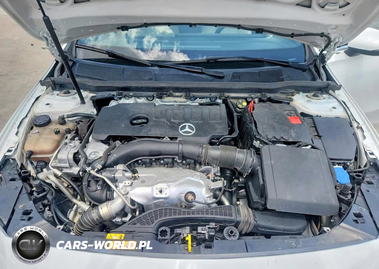 2020 Mercedes-Benz A 220 VIN:WDD3G4EB0LW042332 - 11