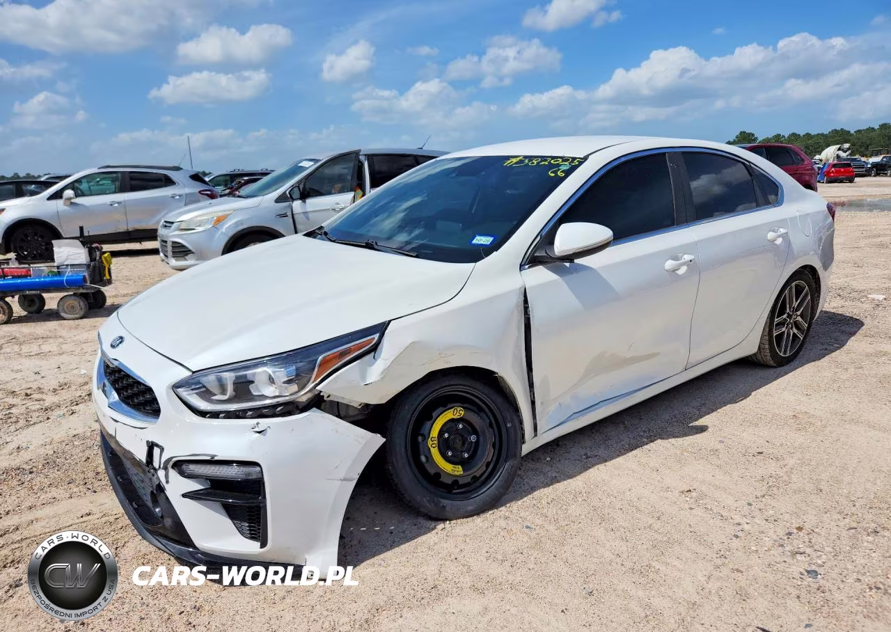2019 Kia Forte Ex