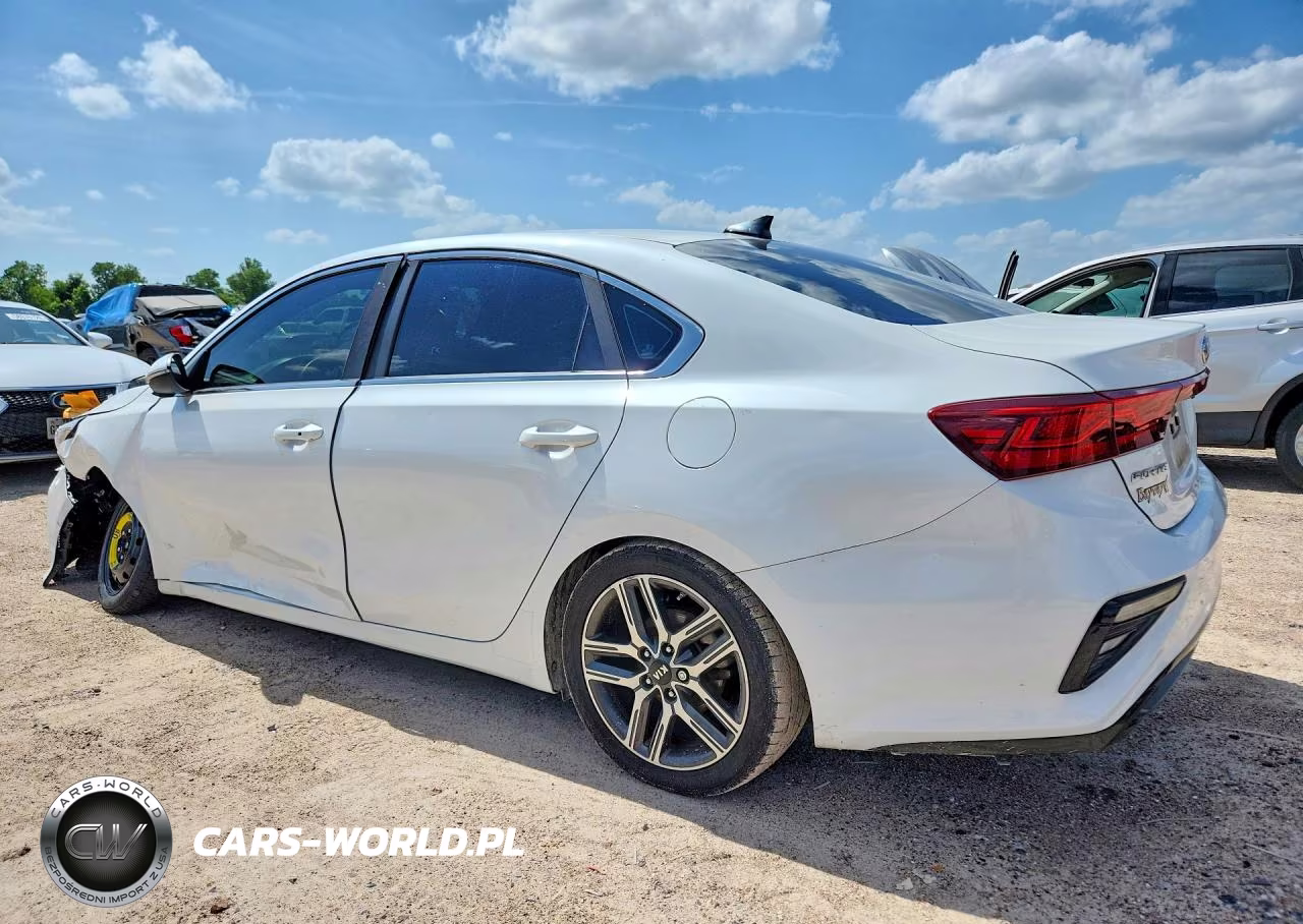 2019 Kia Forte Ex VIN:3KPF54AD2KE056682 - 2