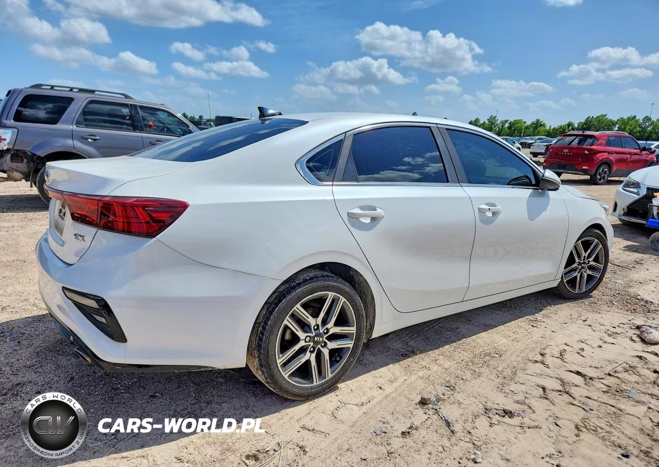 2019 Kia Forte Ex VIN:3KPF54AD2KE056682 - 3