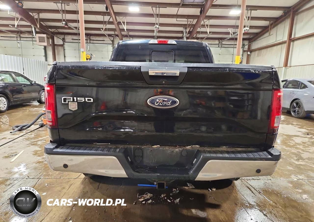 2017 Ford F150 Supercrew VIN:1FTEW1EP0HFB60632 - 6