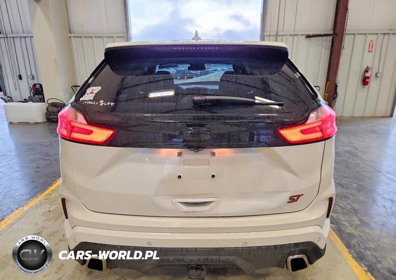 2019 Ford Edge St VIN:2FMPK4APXKBC19525 - 6