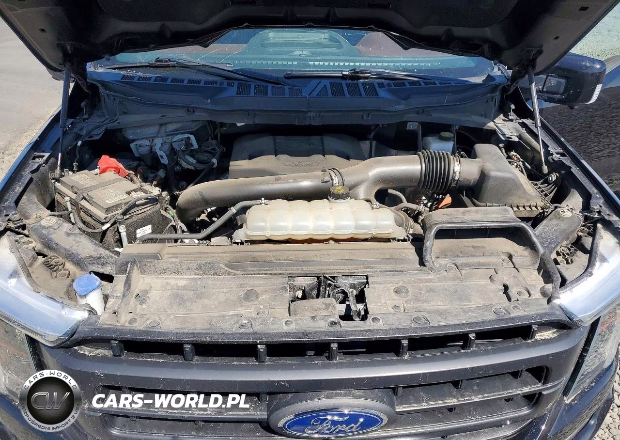 2021 Ford F150 Supercrew VIN:1FTFW1E84MFC67691 - 11