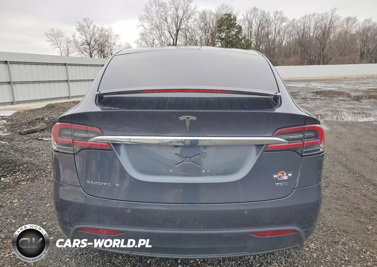 2018 Tesla Model X VIN:5YJXCDE23JF114147 - 12