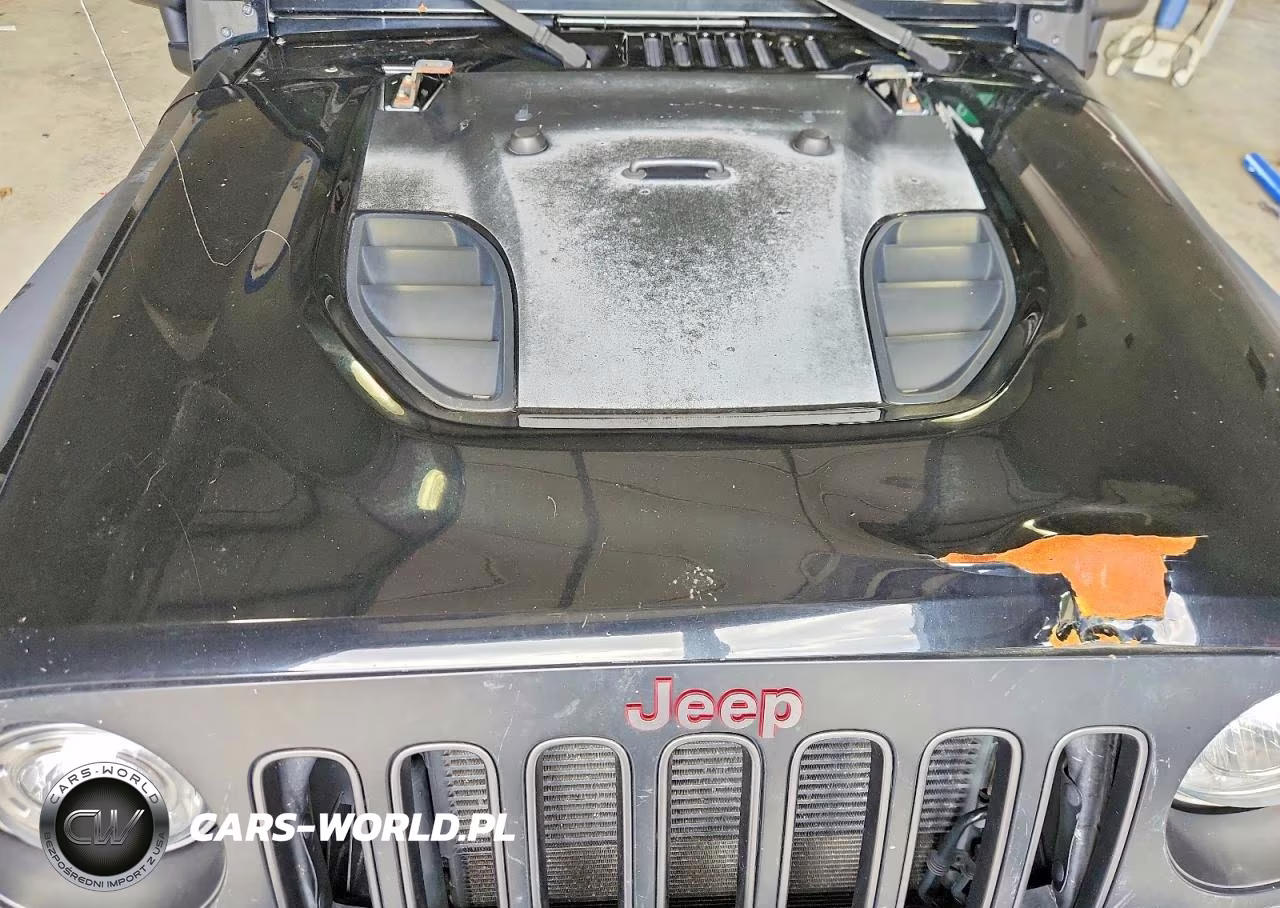 2017 Jeep Wrangler Unlimited Rubicon VIN:1C4BJWFG9HL724843 - 11