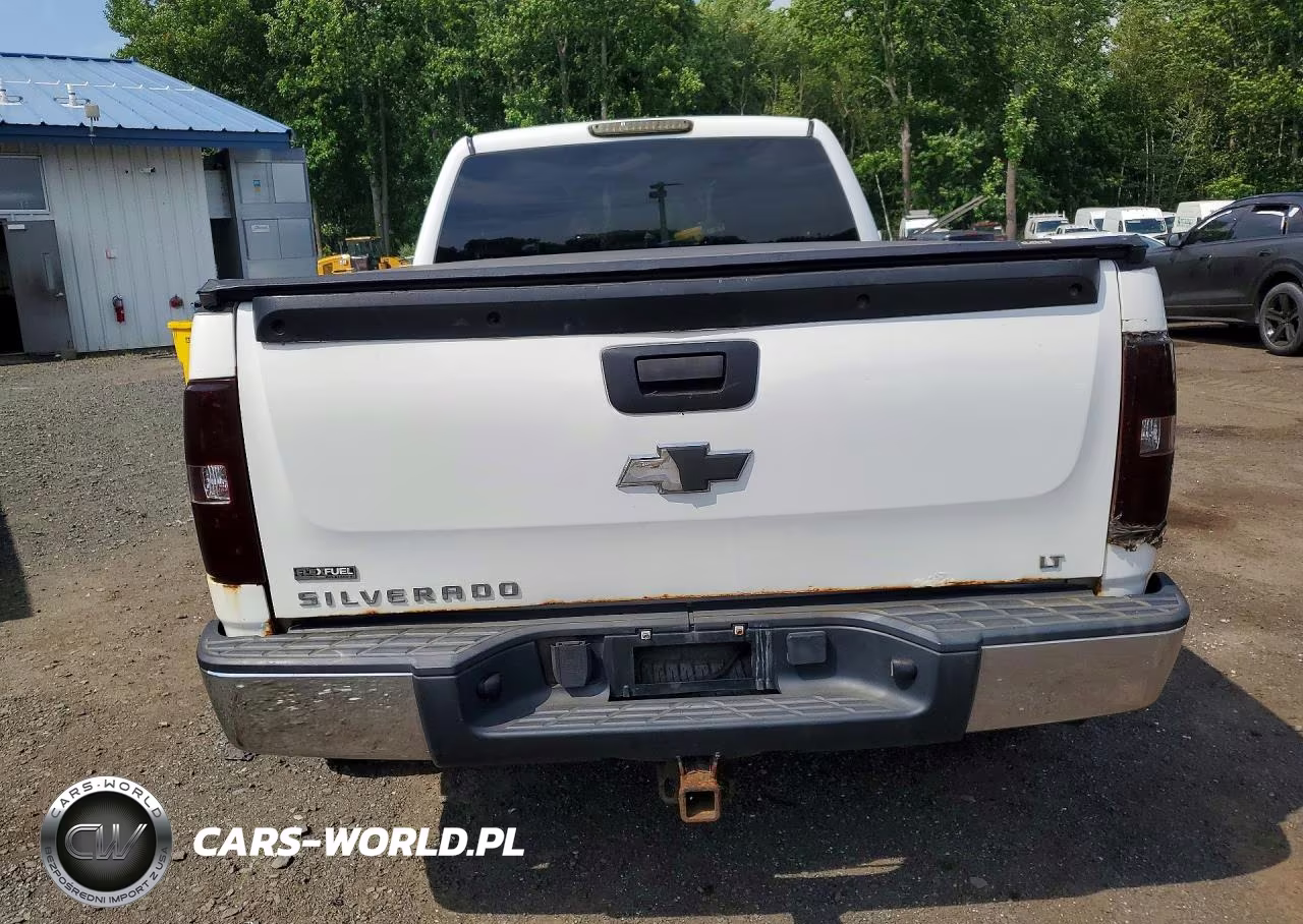 2009 Chevrolet Silverado K1500 Lt VIN:1GCEK29029Z233563 - 6