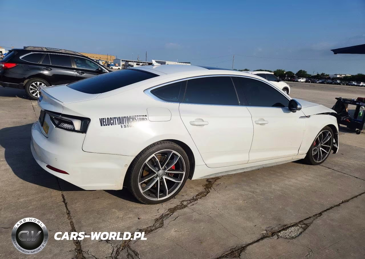 2019 Audi S5 Prestige VIN:WAUC4CF59KA017492 - 3