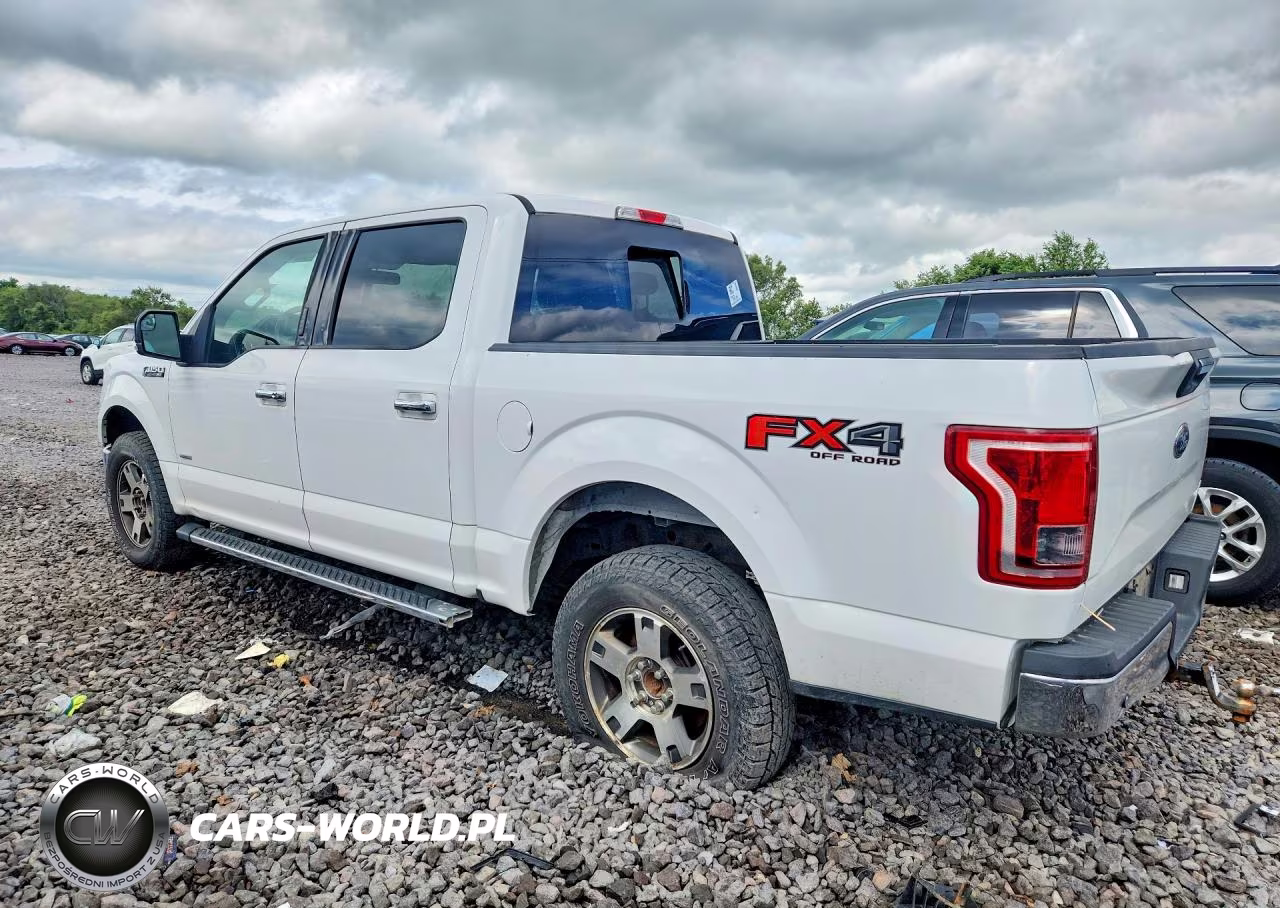 2015 Ford F150 Supercrew VIN:1FTEW1EG7FKD24737 - 2