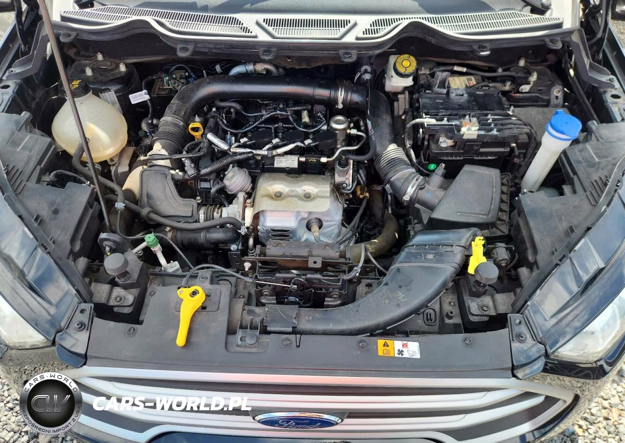 2019 Ford Ecosport Se VIN:MAJ3S2GE6KC291955 - 12