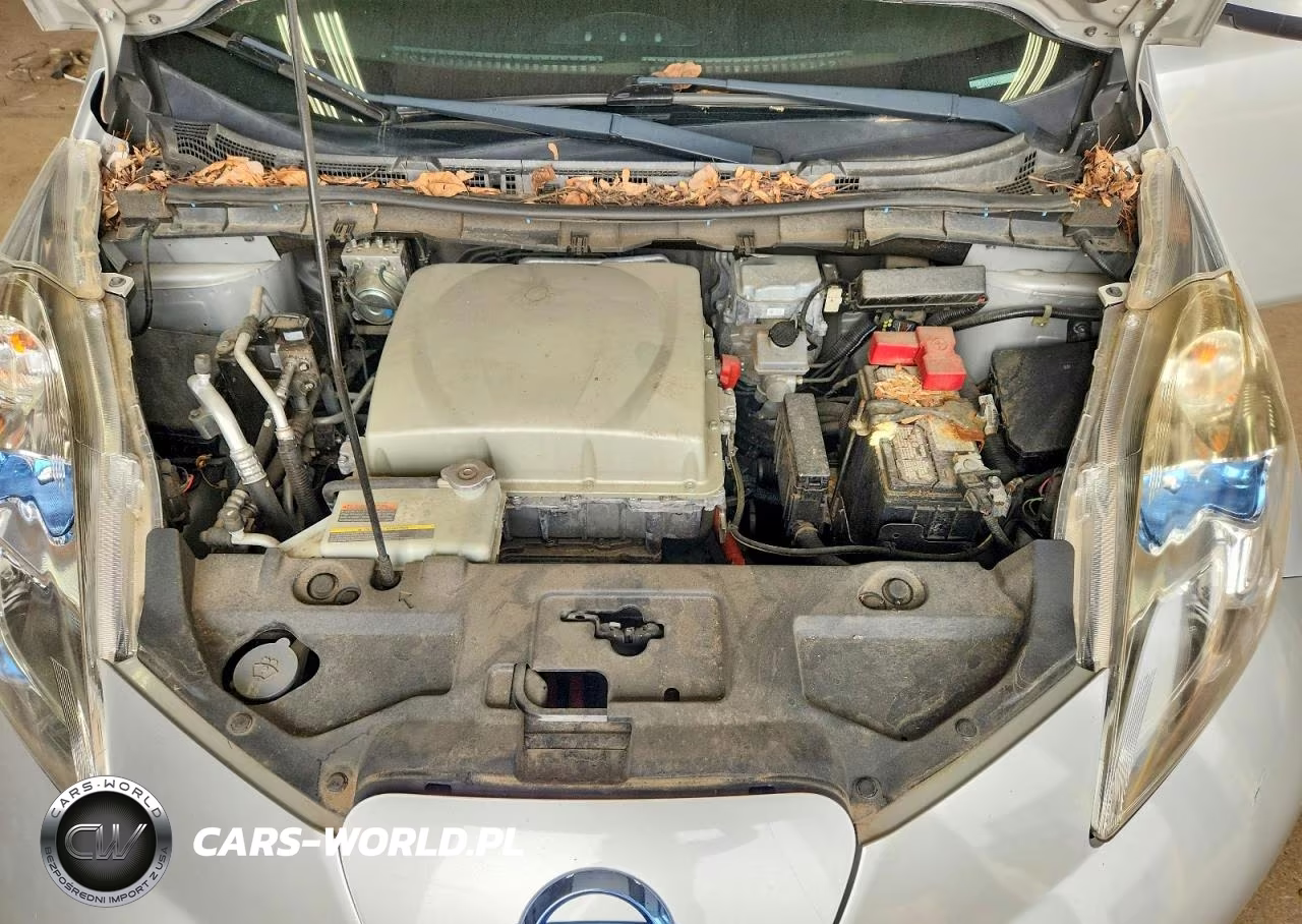2016 Nissan Leaf Sl VIN:1N4BZ0CP3GC310553 - 11
