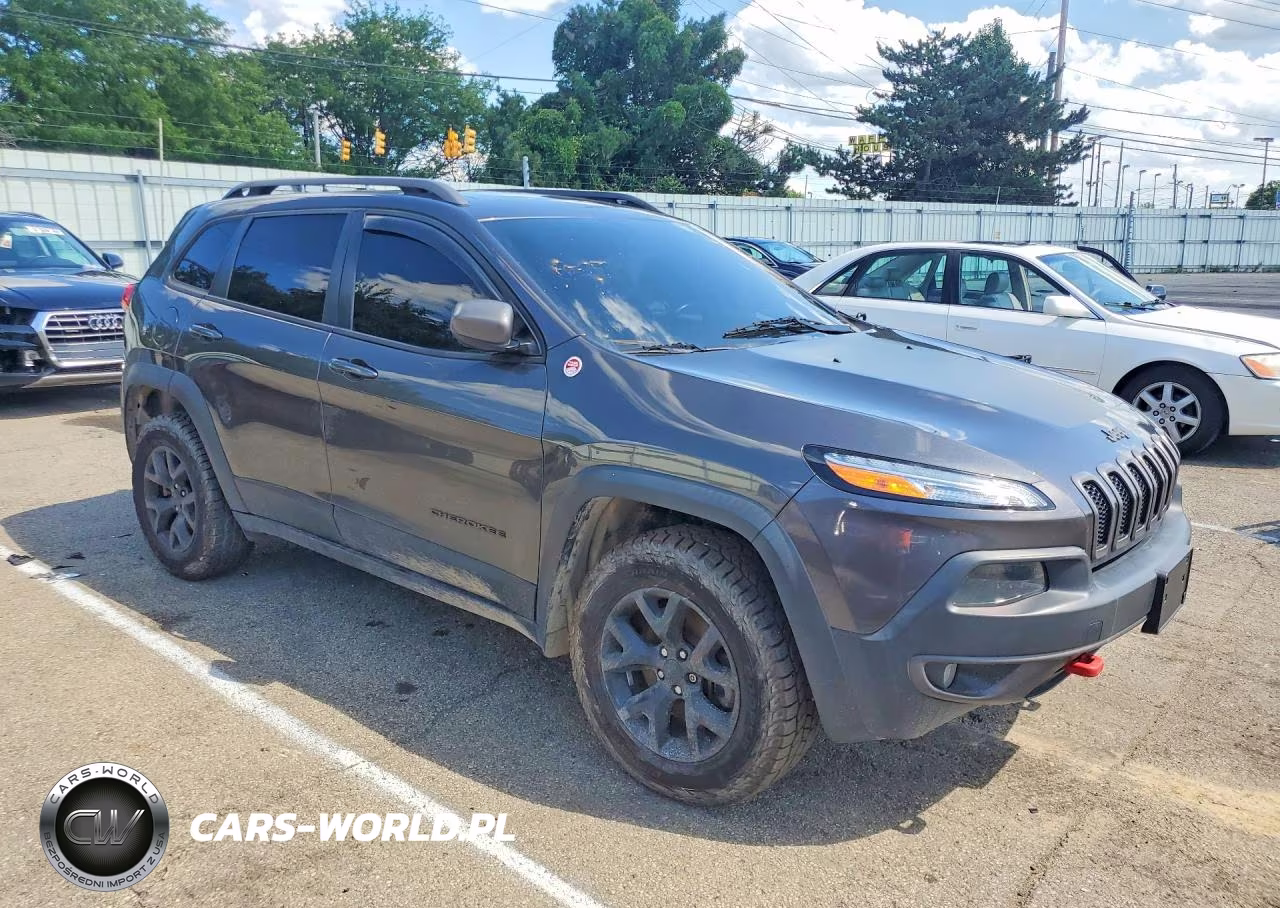 2016 Jeep Cherokee Trailhawk VIN:1C4PJMBS0GW134869 - 4