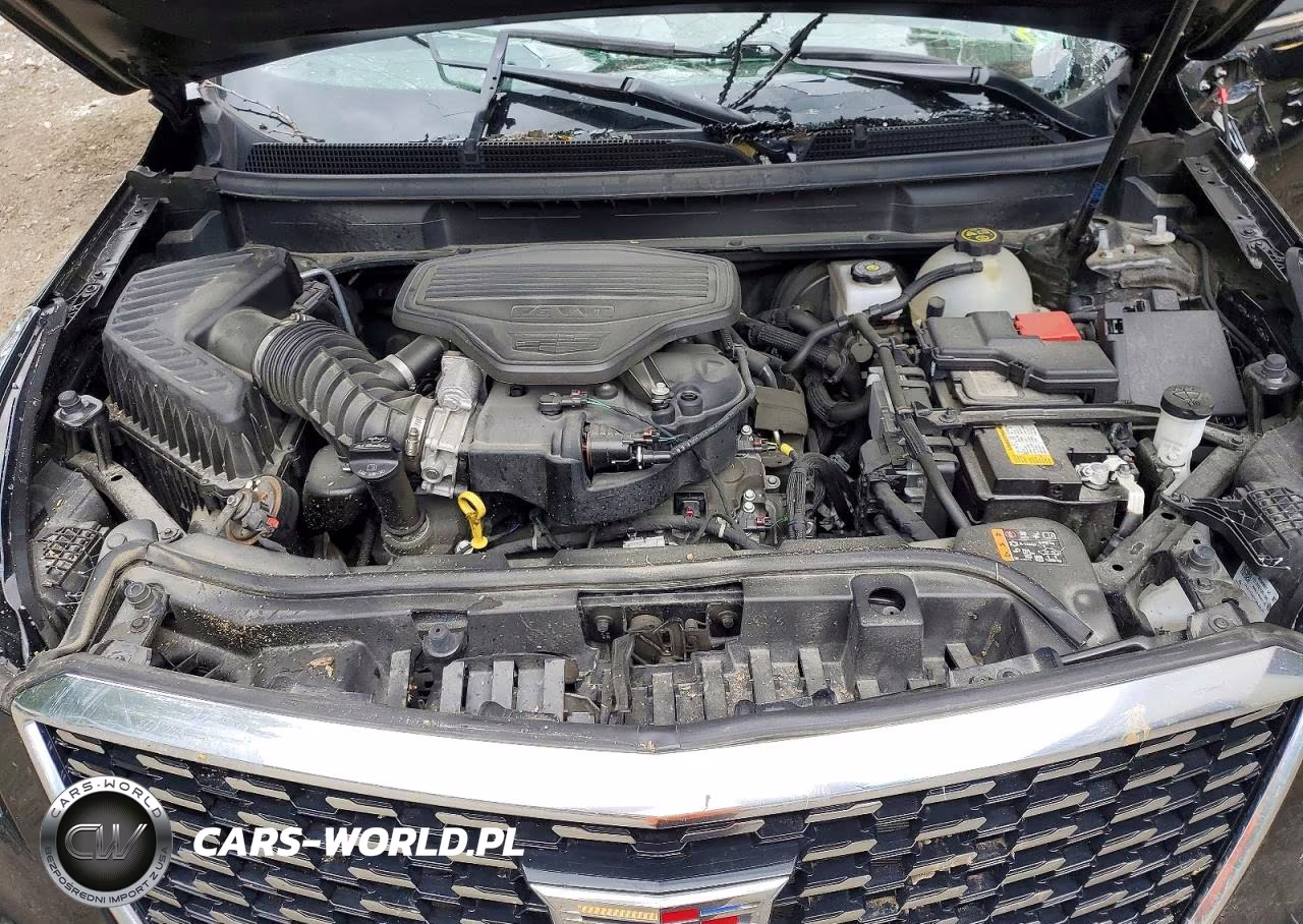 2024 Cadillac Xt5 Premium Luxury VIN:1GYKNDRS6RZ719309 - 12