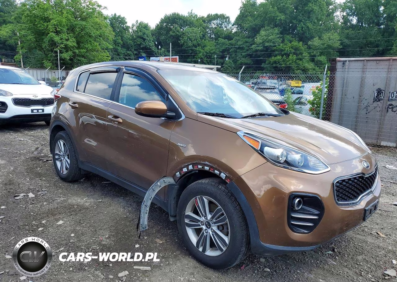 2017 Kia Sportage Lx VIN:KNDPMCAC5H7186635 - 4