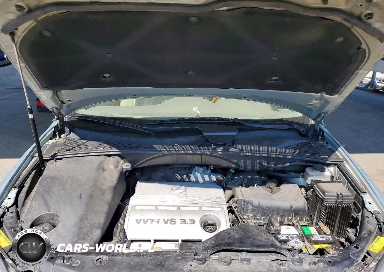 2005 Lexus Rx 330 VIN:JTJHA31U050096218 - 11