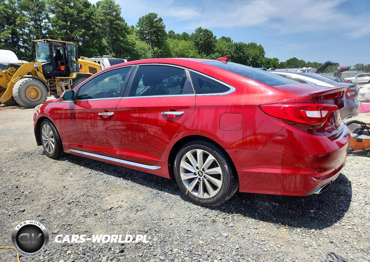 2015 Hyundai Sonata Sport VIN:5NPE34AF8FH204404 - 2