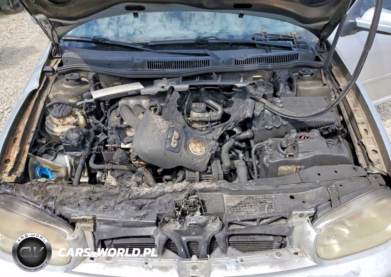 2005 Volkswagen Golf Gls VIN:9BWGL61J854005601 - 11
