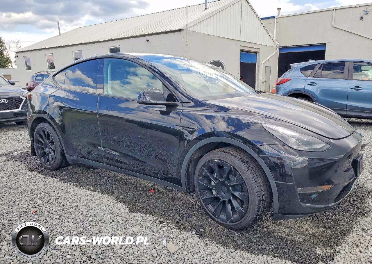 2023 Tesla Model Y VIN:7SAYGAEE2PF694889 - 4