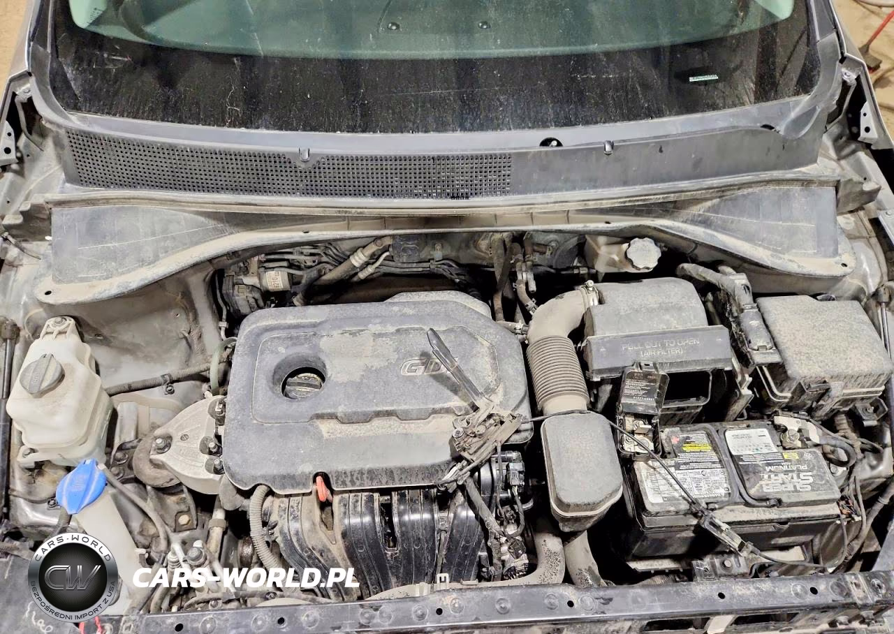 2019 Kia Sorento Lx VIN:5XYPGDA30KG534316 - 12