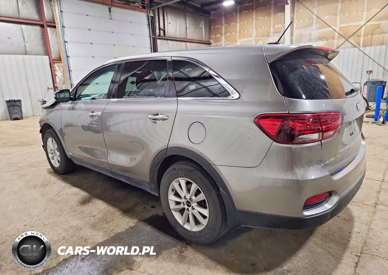 2019 Kia Sorento Lx VIN:5XYPGDA30KG534316 - 2