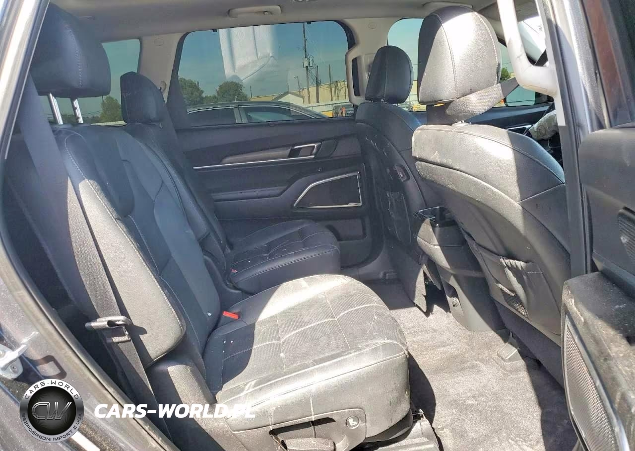 2021 Kia Telluride Sx VIN:5XYP54HC9MG129473 - 11