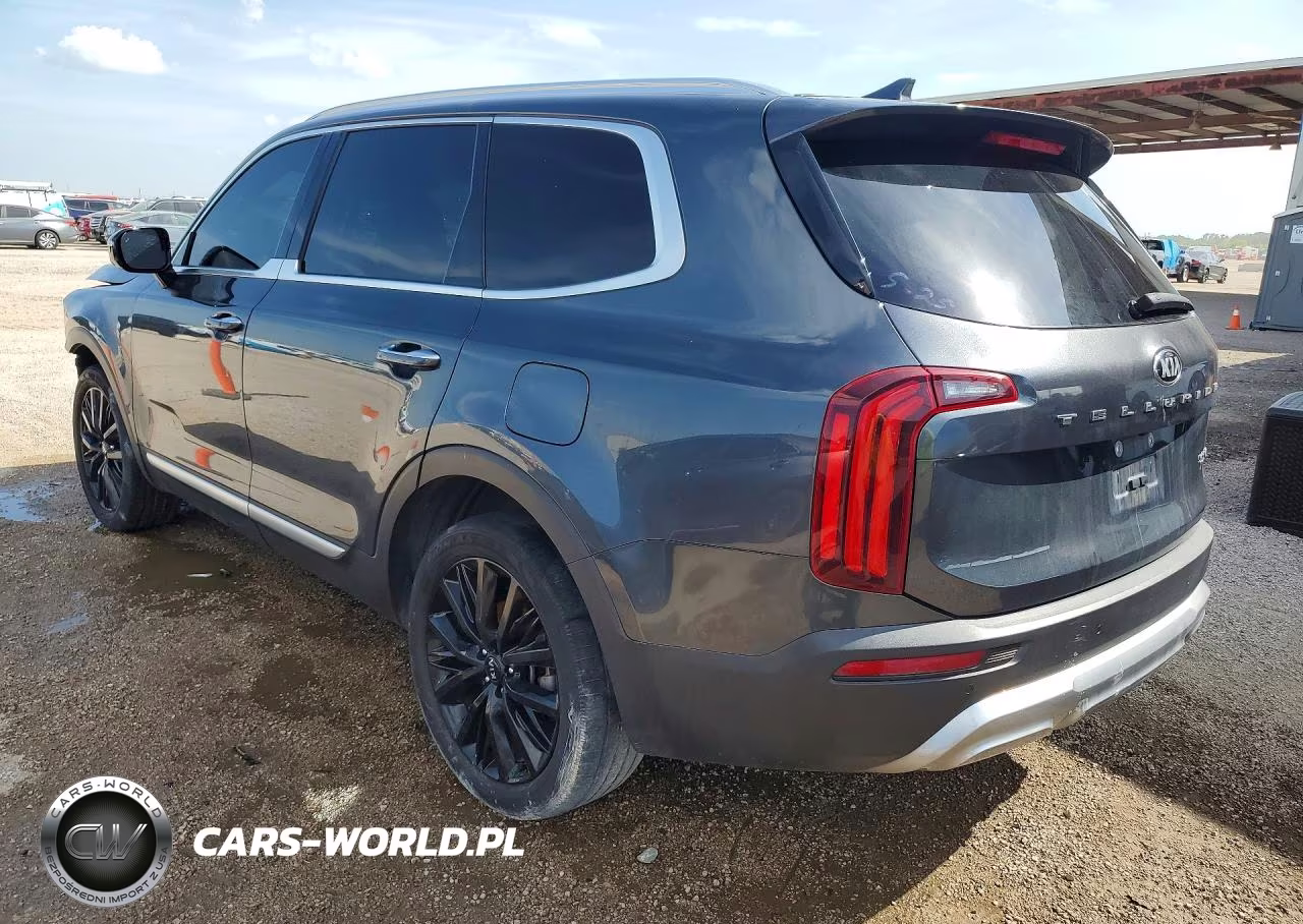 2021 Kia Telluride Sx VIN:5XYP54HC9MG129473 - 2
