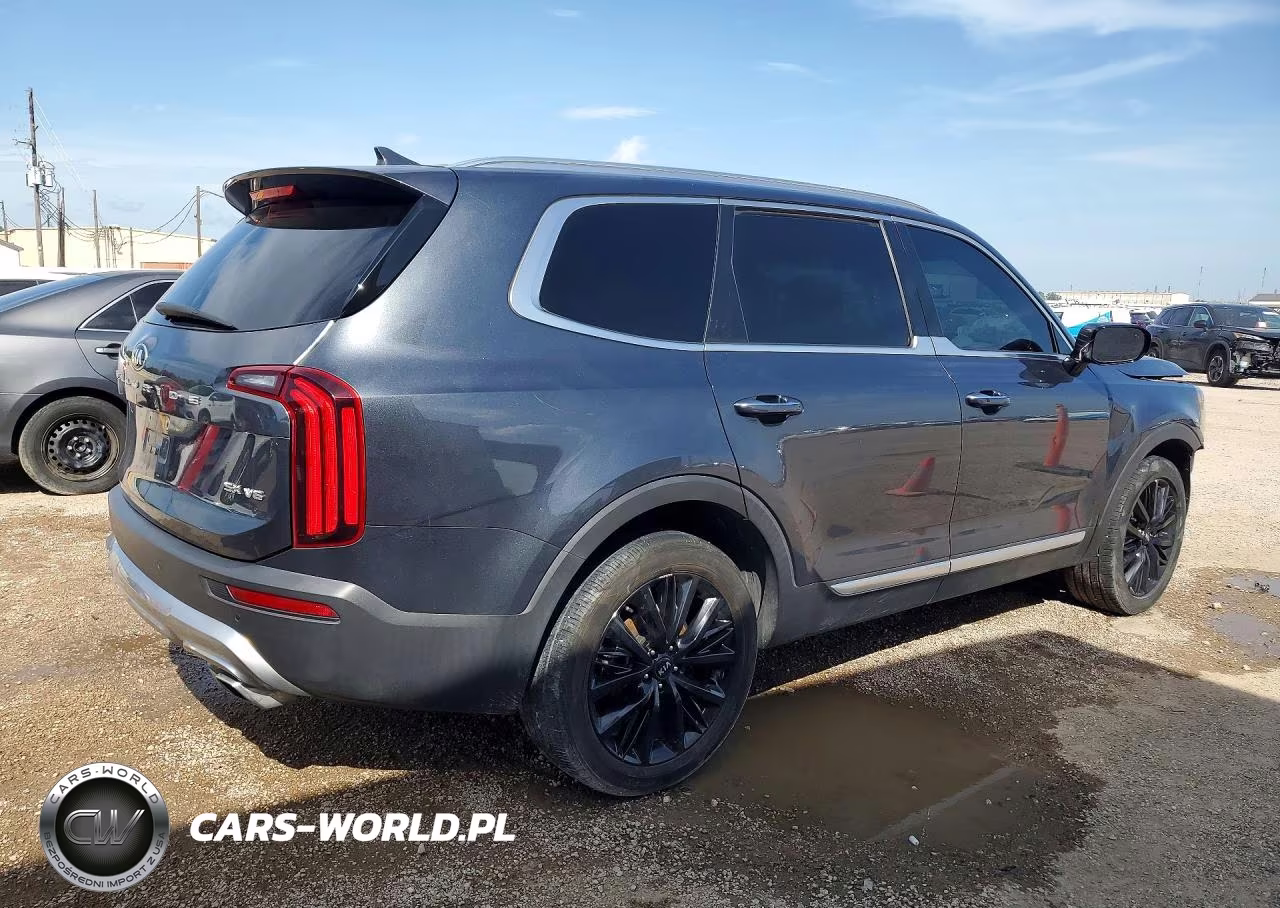 2021 Kia Telluride Sx VIN:5XYP54HC9MG129473 - 3