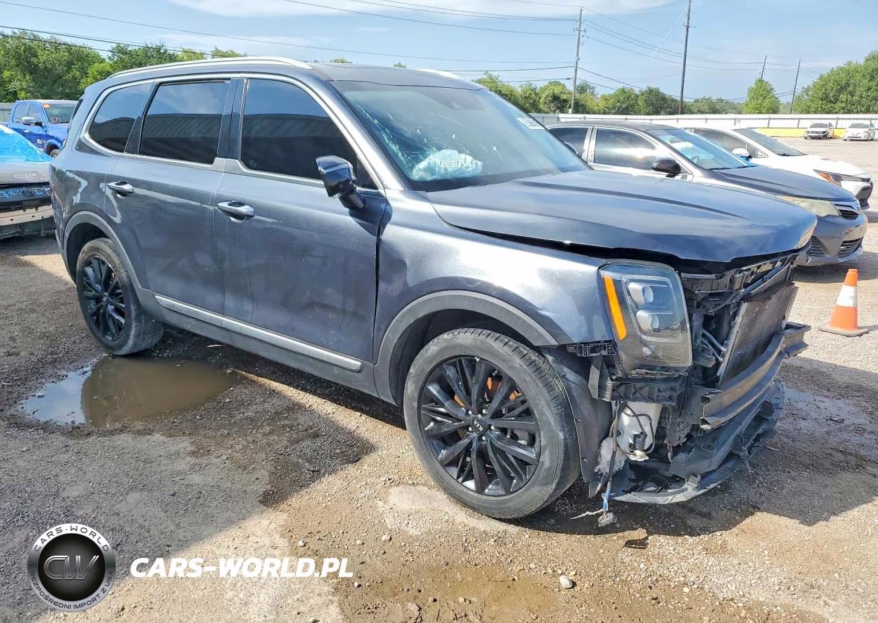 2021 Kia Telluride Sx VIN:5XYP54HC9MG129473 - 4