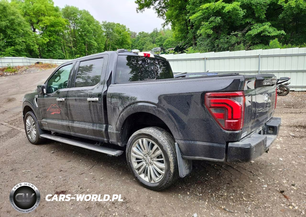 2024 Ford F150 Platinum VIN:1FTFW7LD9RFB72974 - 2