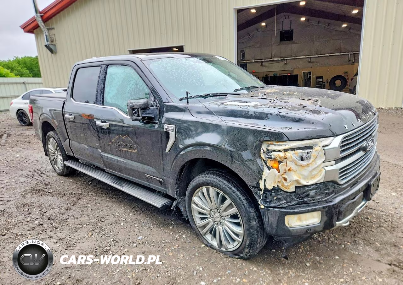 2024 Ford F150 Platinum VIN:1FTFW7LD9RFB72974 - 4