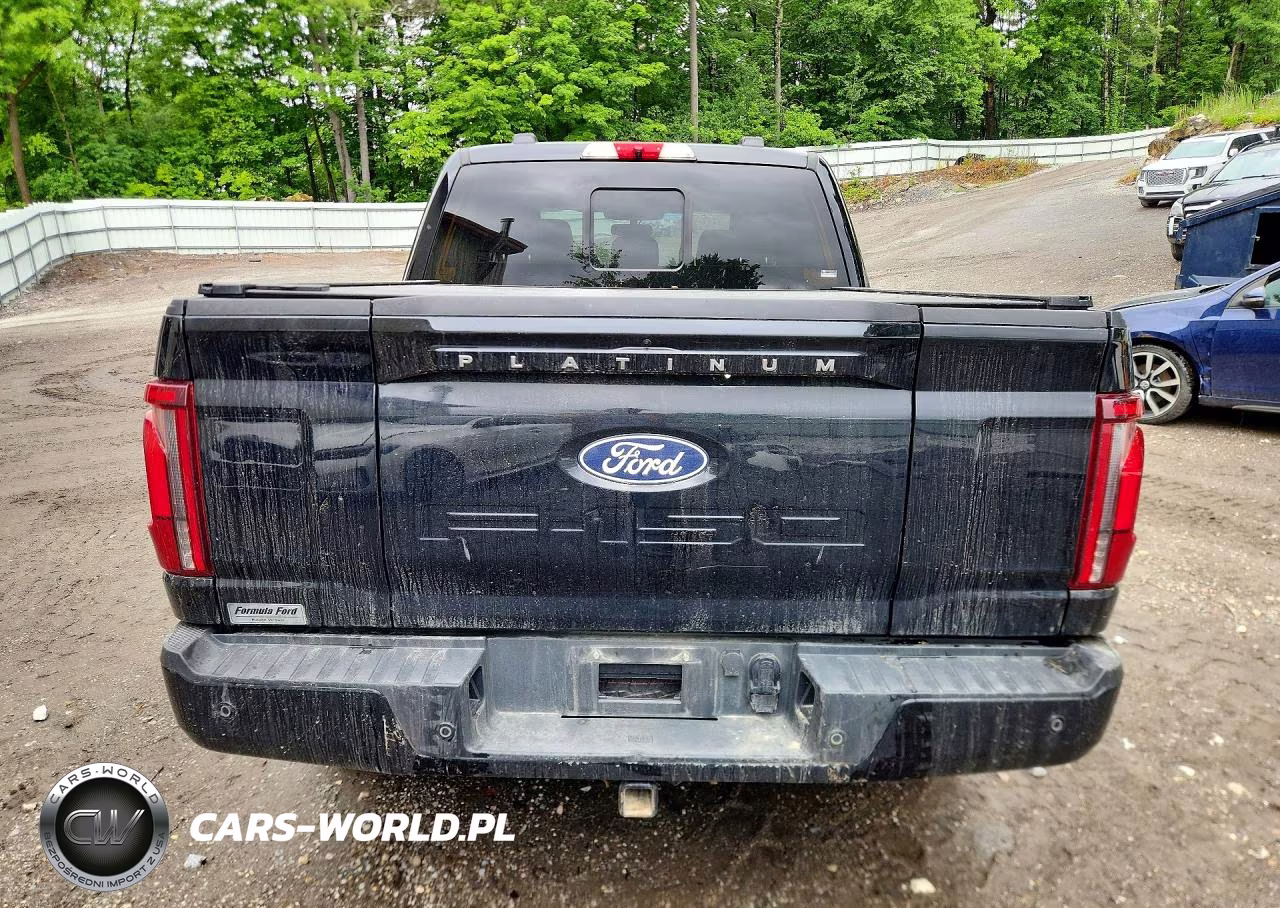 2024 Ford F150 Platinum VIN:1FTFW7LD9RFB72974 - 6