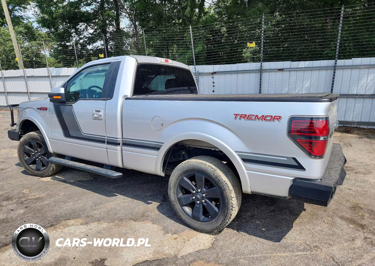 2014 Ford F150 VIN:1FTMF1ET1EFA05219 - 2