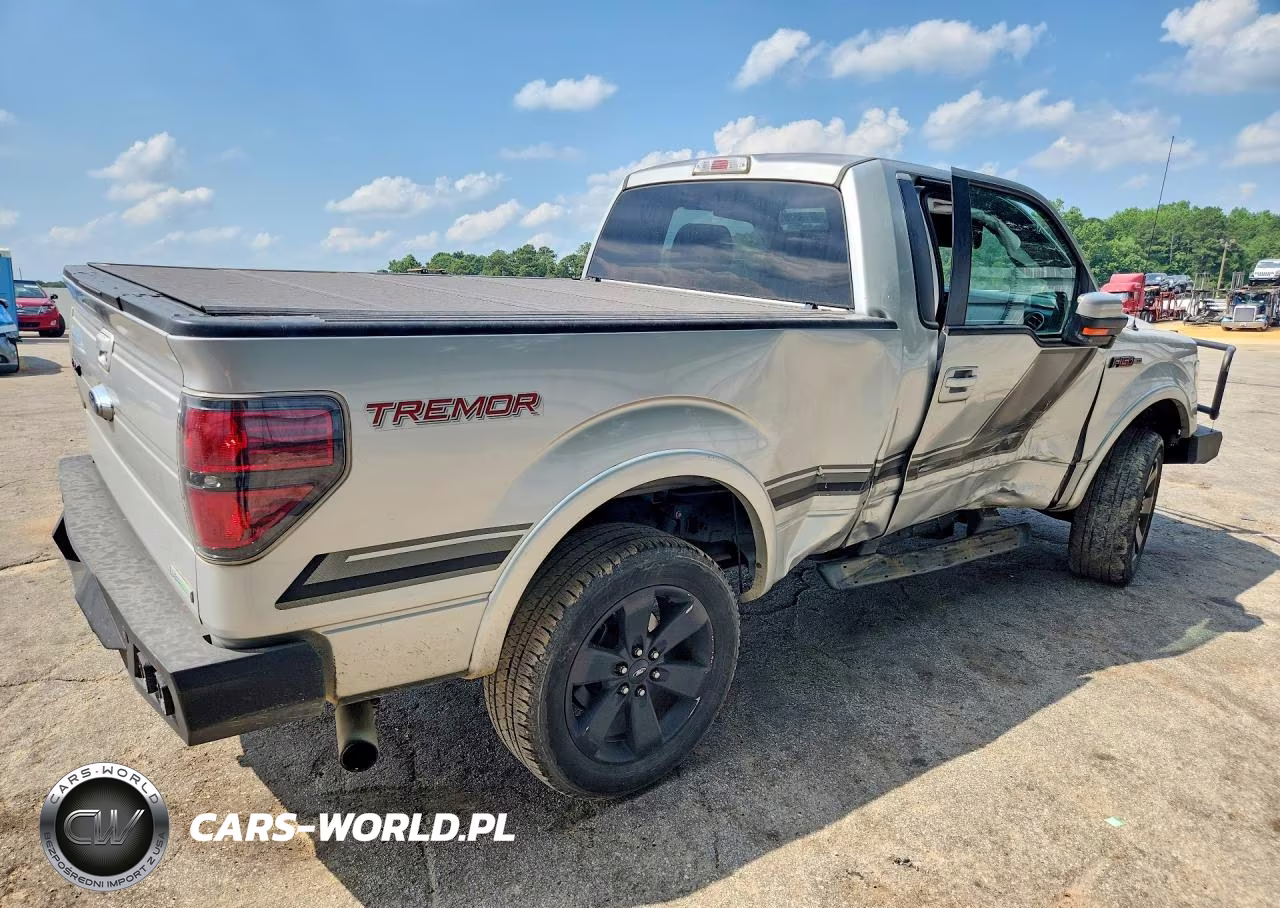 2014 Ford F150 VIN:1FTMF1ET1EFA05219 - 3