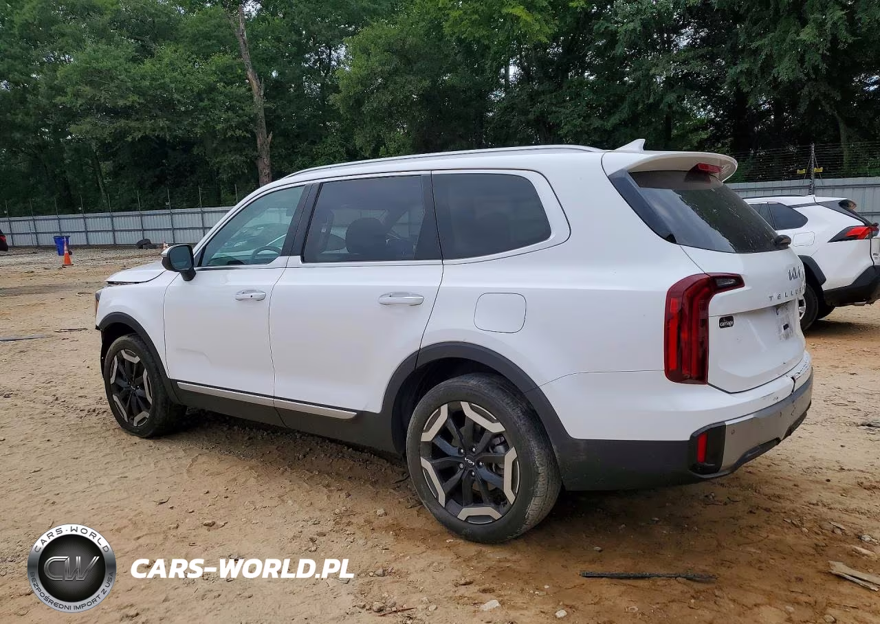 2023 Kia Telluride S VIN:5XYP64GC2PG335382 - 2
