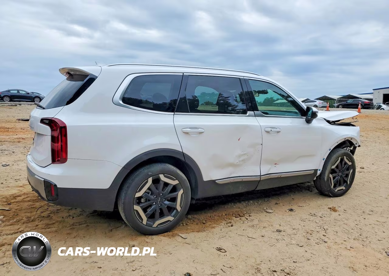 2023 Kia Telluride S VIN:5XYP64GC2PG335382 - 3