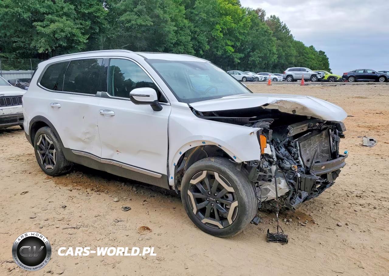 2023 Kia Telluride S VIN:5XYP64GC2PG335382 - 4