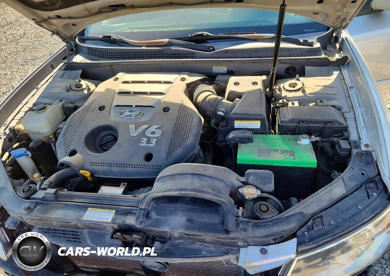 2007 Hyundai Sonata Se VIN:5NPEU46F47H213494 - 11