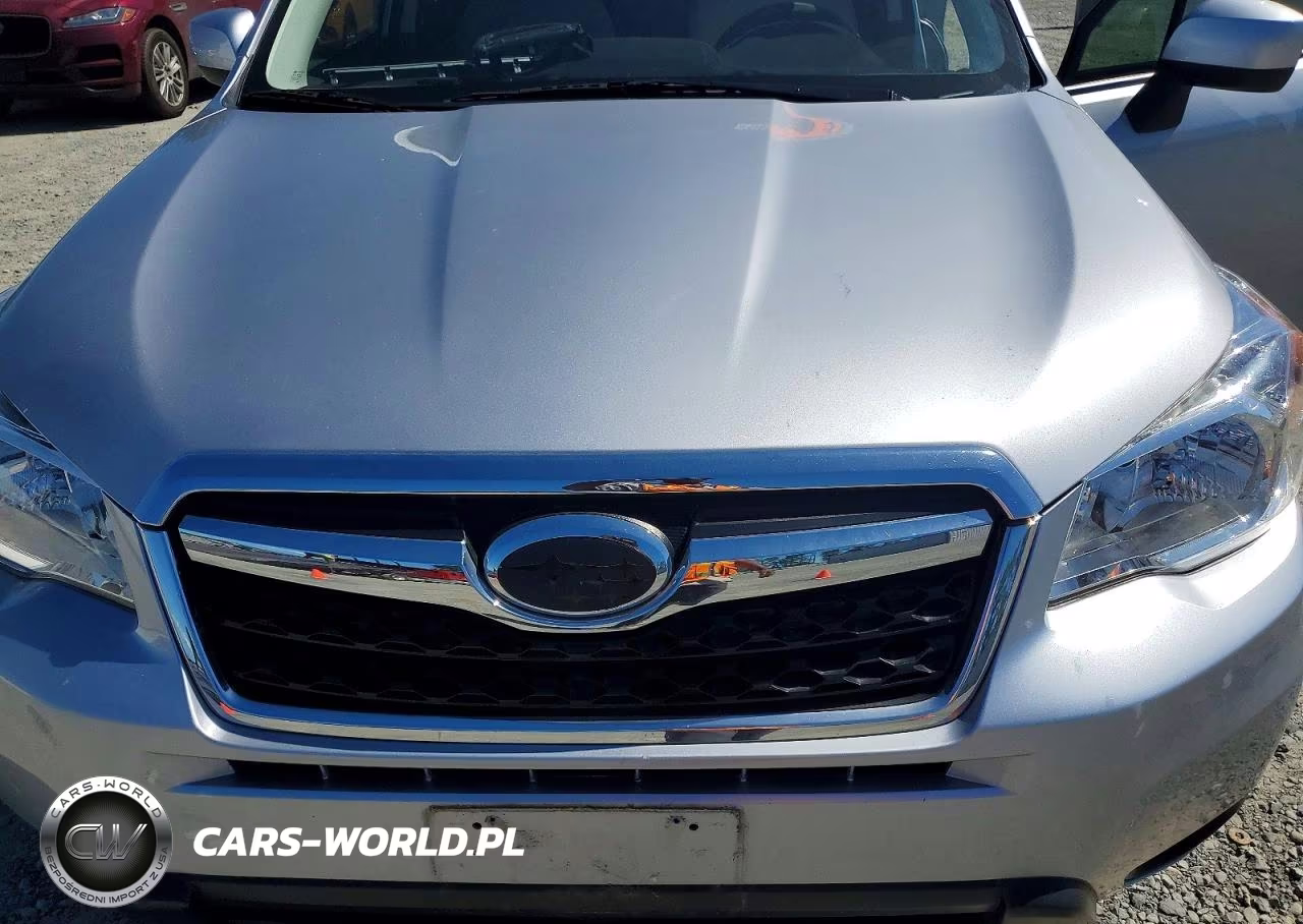 2016 Subaru Forester 2.5I Premium VIN:JF2SJAFC0GH505840 - 12