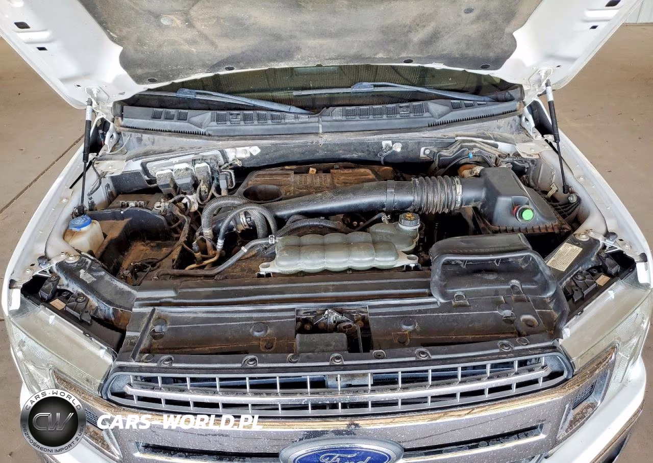 2019 Ford F150 Supercrew VIN:1FTEW1E11KFC87747 - 11