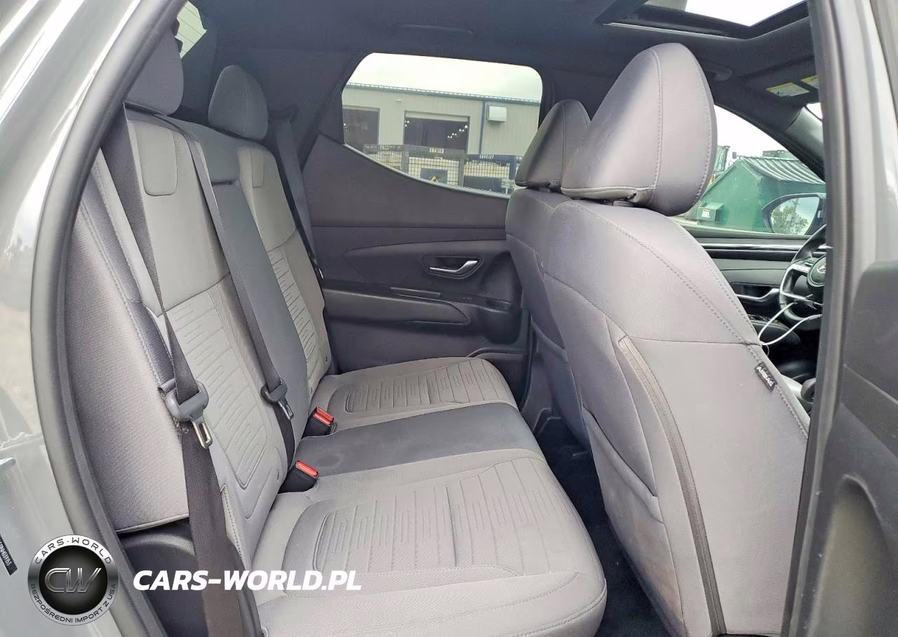 2022 Hyundai Santa Cruz Sel Premium VIN:5NTJDDAF0NH039153 - 10