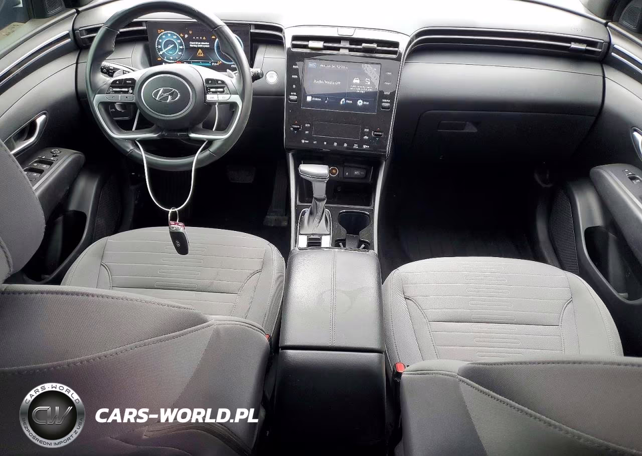 2022 Hyundai Santa Cruz Sel Premium VIN:5NTJDDAF0NH039153 - 8