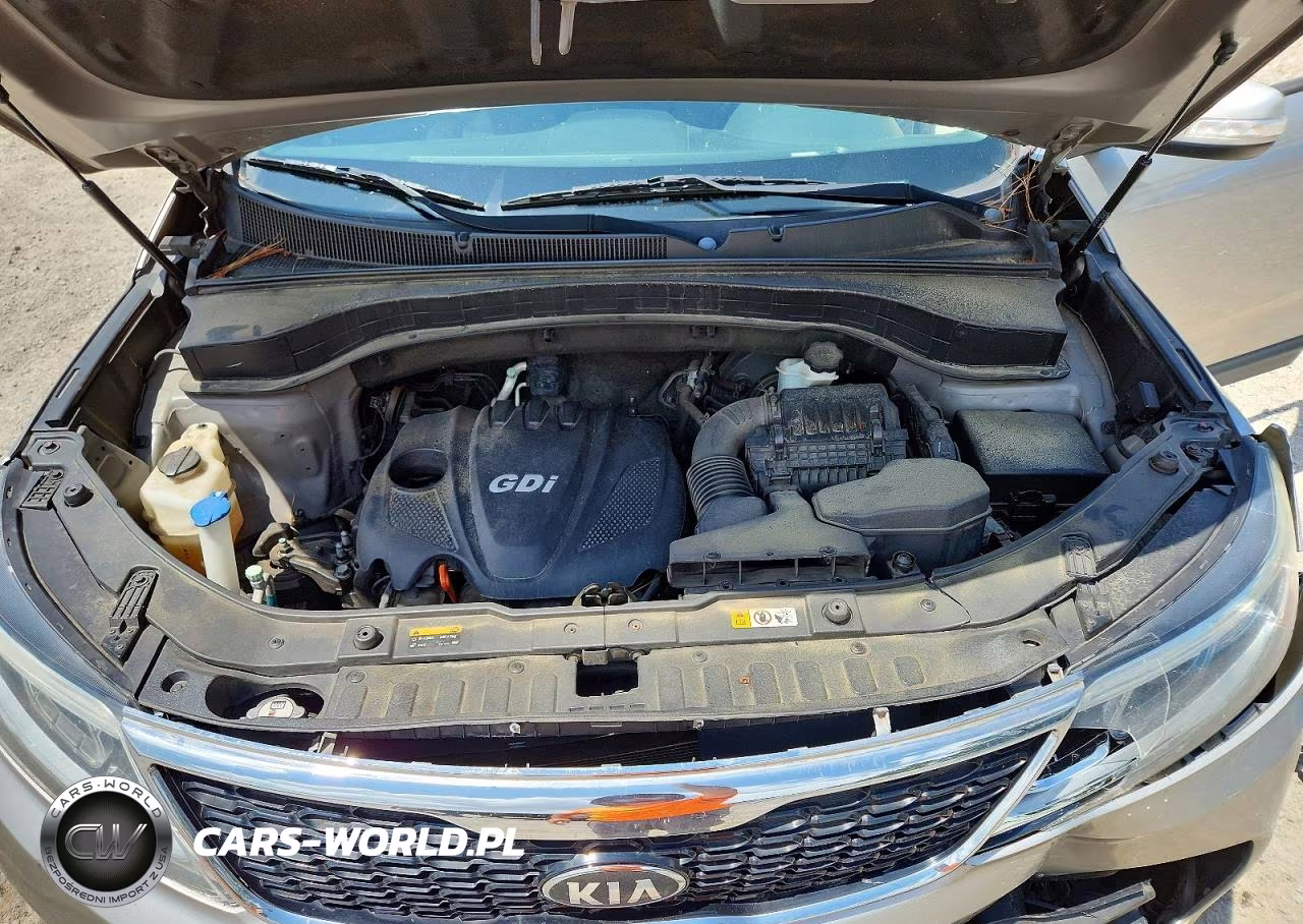 2014 Kia Sorento Lx VIN:5XYKT3A65EG455061 - 12