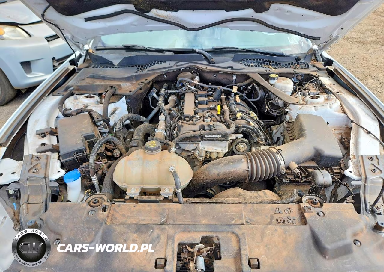 2023 Ford Mustang VIN:1FATP8UH4P5111628 - 11