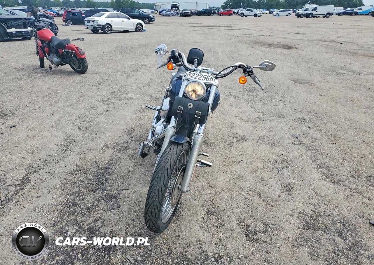 2009 Harley-Davidson Fxdc VIN:1HD1GV4189K321817 - 2