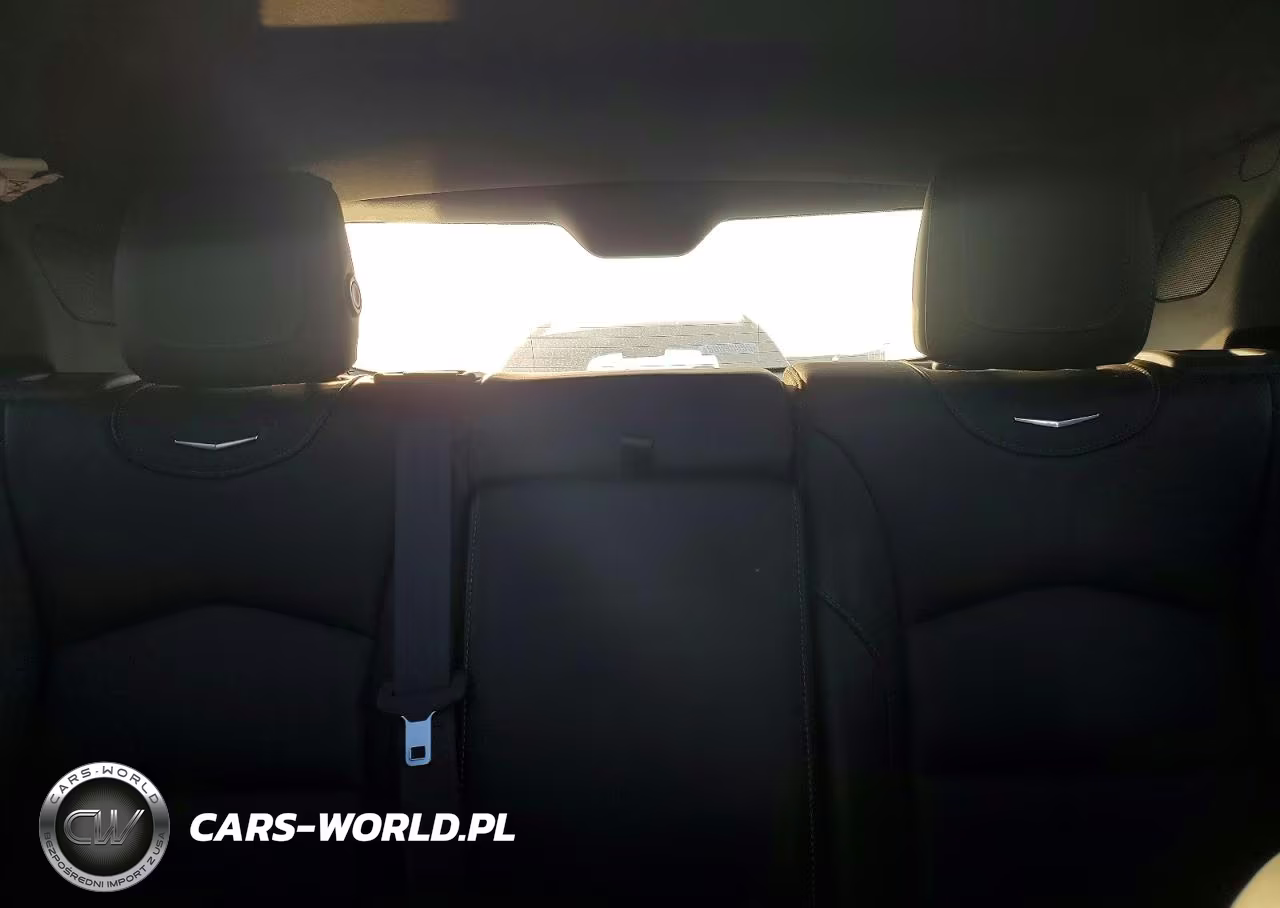 2019 Cadillac Xt4 Premium Luxury VIN:1GYFZCR43KF126063 - 10