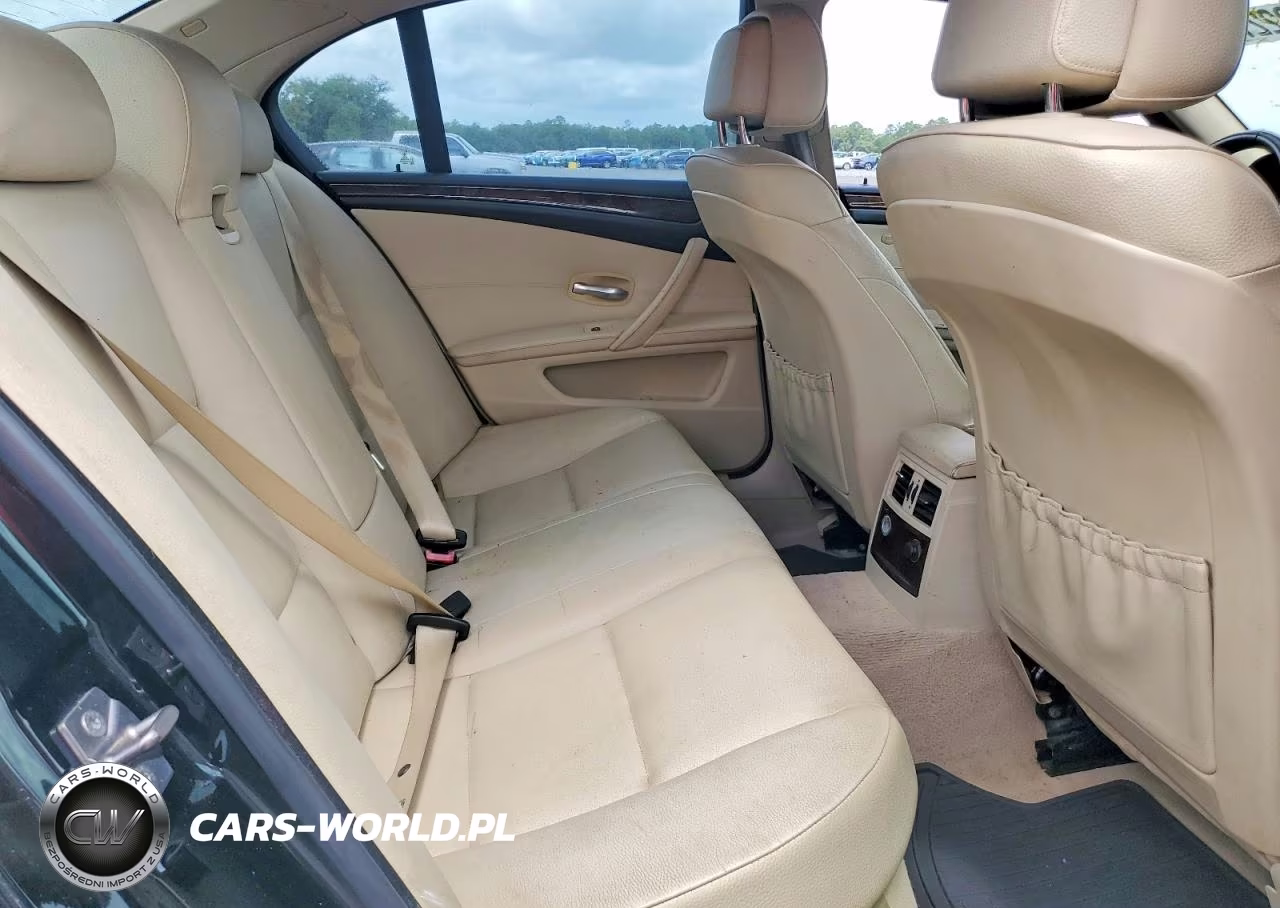 2010 BMW 528 I VIN:WBANU5C53AC461169 - 10