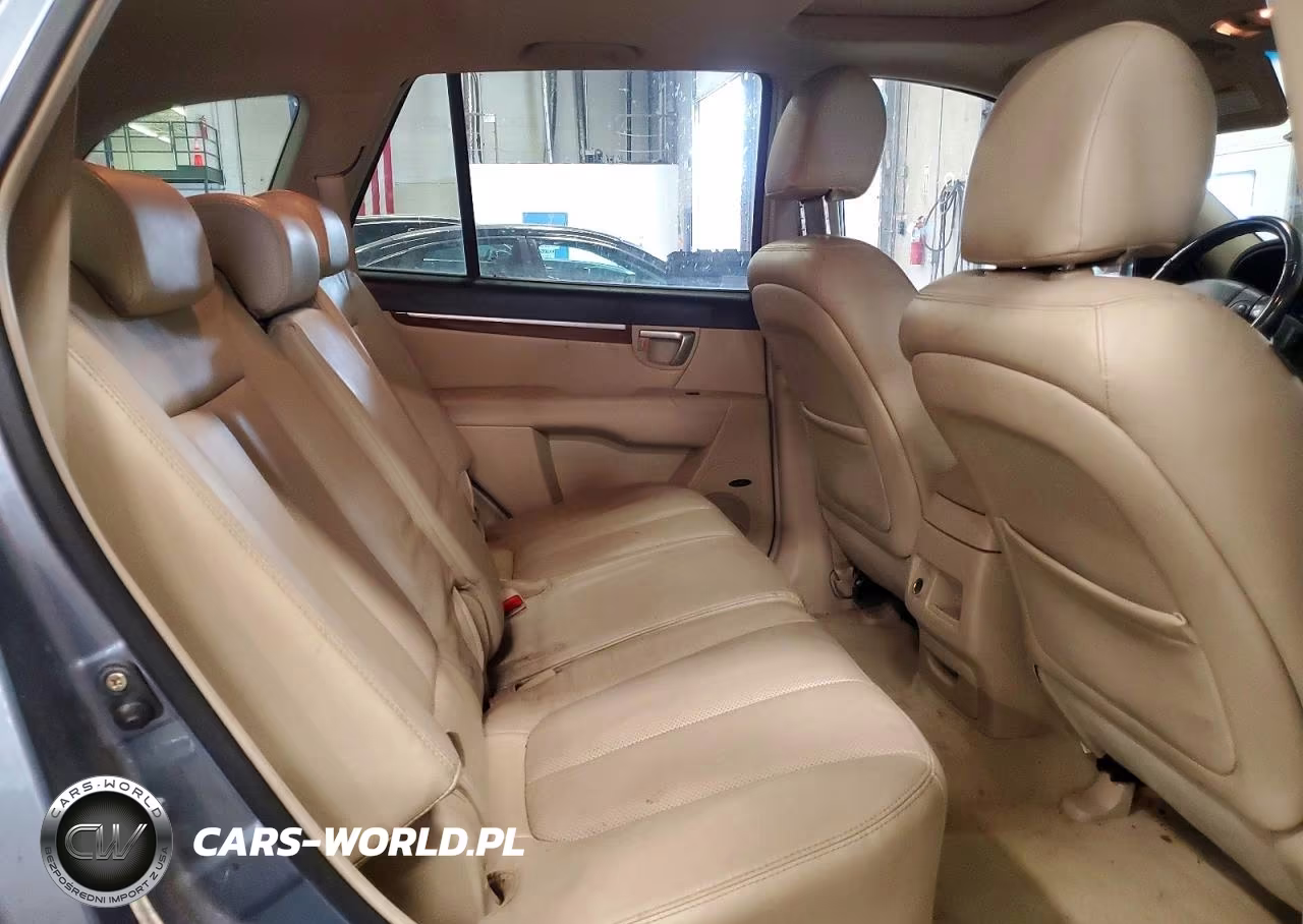 2009 Hyundai Santa Fe Limited VIN:5NMSH13E89H329279 - 11