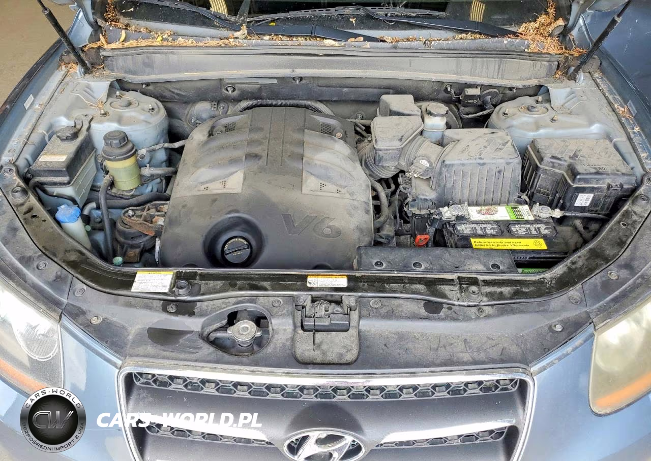2009 Hyundai Santa Fe Limited VIN:5NMSH13E89H329279 - 12