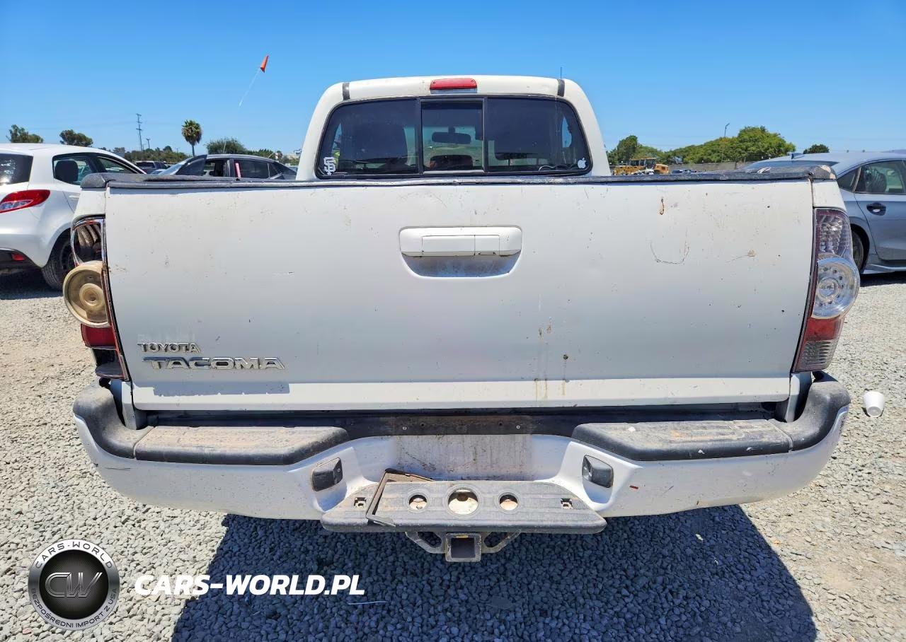 2010 Toyota Tacoma VIN:5TENX4CN0AZ699275 - 6