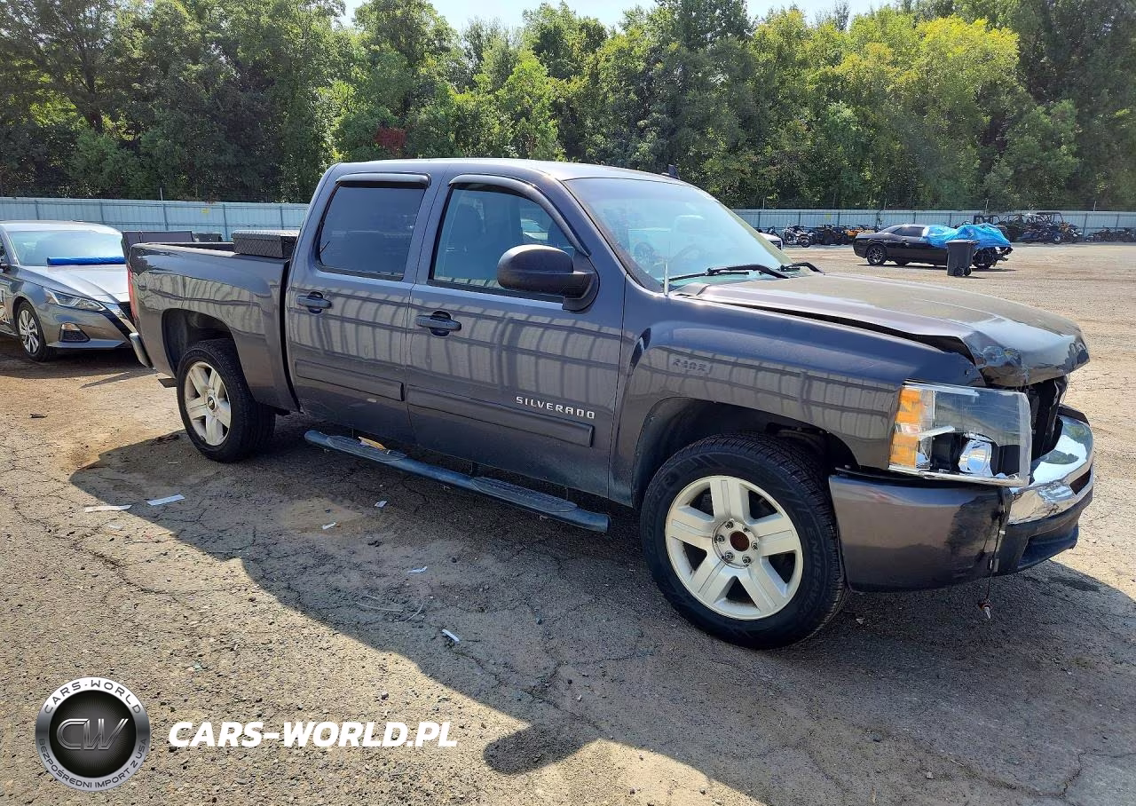 2010 Chevrolet Silverado C1500 Lt VIN:3GCRCSE09AG149040 - 4